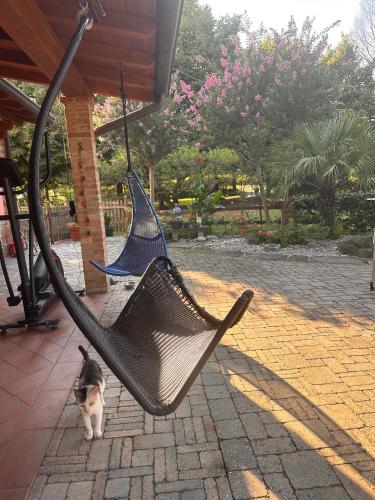 a cat sitting in a hammock on a patio at casa nonna Rica in Calcio