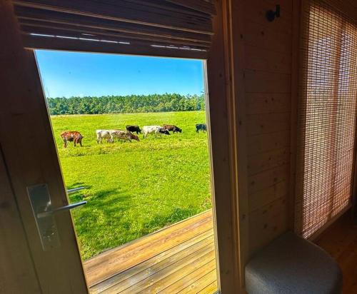 Gambar di galeri bagi Tranquil Modern Farm Cabin di Smyrna