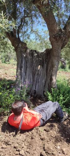 Φυσικό τοπίο κοντά σε αυτή η παραθεριστική κατοικία