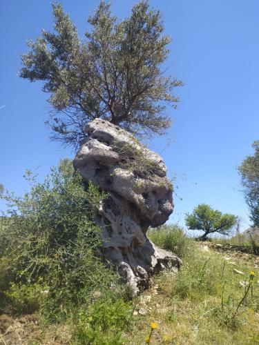 Φυσικό τοπίο κοντά σε αυτή η παραθεριστική κατοικία