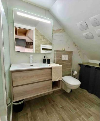 une salle de bain avec un lavabo et des toilettes dans l'établissement La Muse, Hypercentre, calme, à Dijon