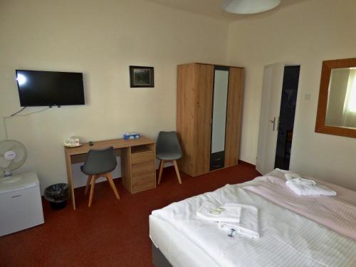 a hotel room with a bed and a desk and a television at Hotel Svornost in Prague