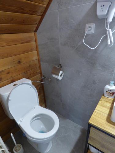 a bathroom with a toilet and a phone on the wall at Hotel Svornost in Prague
