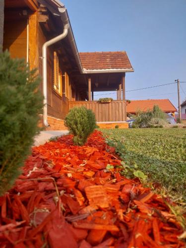 Taman di luar Kuća za odmor Jopi i Mare