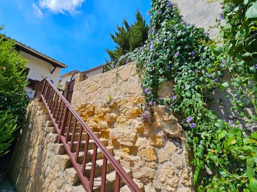 Κήπος έξω από το Flor Guest House