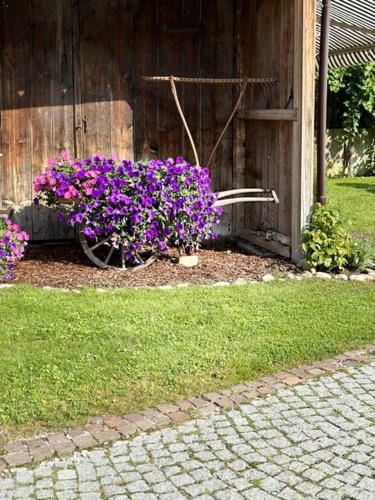 a group of purple flowers in front of a building at Milcherhof in Mieders