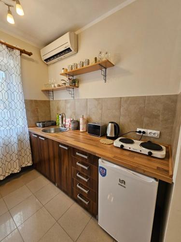 a kitchen with a counter top with a sink and a refrigerator at Prenoćište Lana 2 in Novi Banovci
