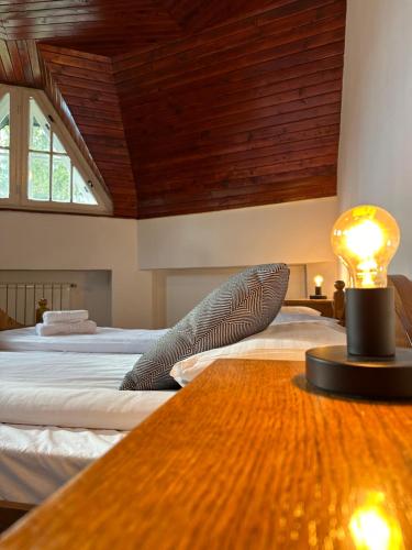 a bedroom with two beds and a table with a lamp at Pine Peak in Predeal