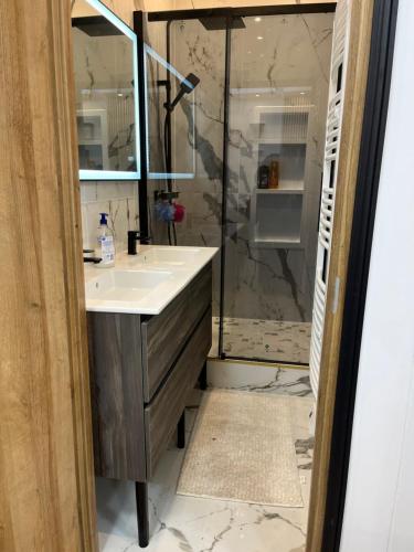 une salle de bain avec un lavabo et une douche dans l'établissement La cour secrète, à Deauville