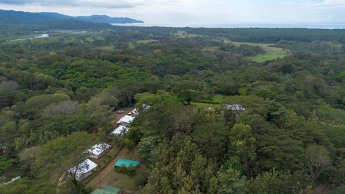 an overhead view of a forest with houses and trees at Tarcoles Birding Lodge in Tarcoles