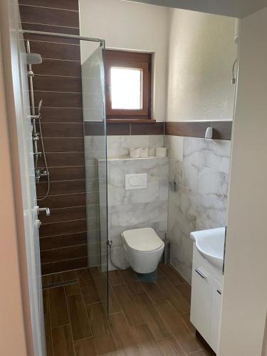 a bathroom with a toilet and a glass shower at Villa Bella Una-Apartman in Ostrožac