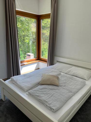 a bed in a room with a window at Villa Bella Una-Apartman in Ostrožac