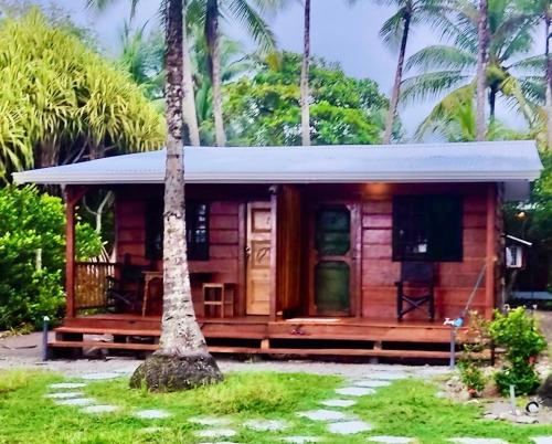 a wooden cabin with a palm tree in front of it at Coloso del Mar in Zancudo
