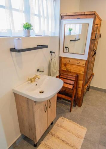 a bathroom with a sink and a mirror at Uitsig - Parys in Parys