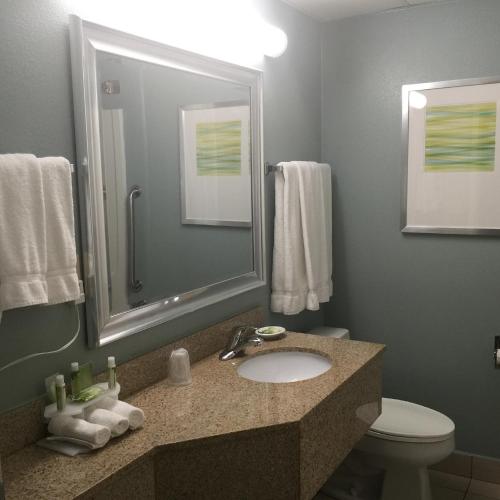 a bathroom with a sink and a toilet and a mirror at Baymont Inn & Suites Braselton in Braselton