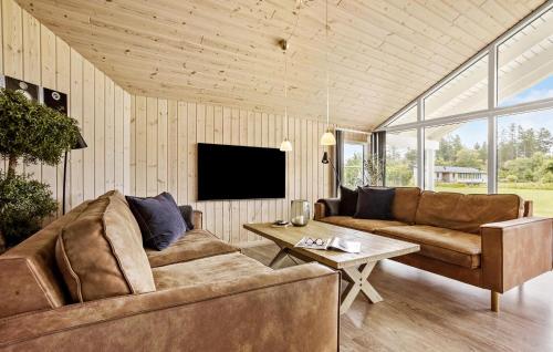 Μια τηλεόραση ή/και κέντρο ψυχαγωγίας στο Nice Home In Ålbæk With Sauna
