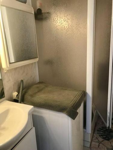 une petite salle de bain avec toilettes et lavabo dans l'établissement Petite Ferme Marine, à Bretignolles-sur-Mer