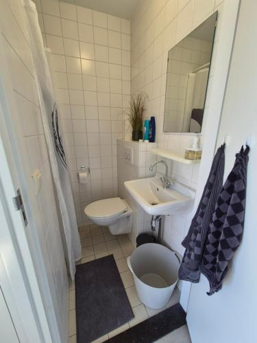 a bathroom with a sink and a toilet and a mirror at Bij molen de Blazekop, rustig en landelijk in Ovezande