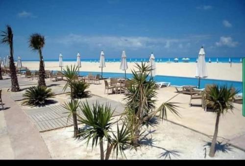 Πισίνα στο ή κοντά στο شاليه بقرية نيس4