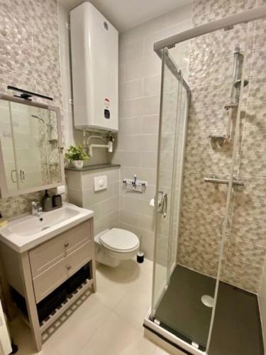 une salle de bain avec une douche, des toilettes et un lavabo dans l'établissement Le standing du centre historique, à Périgueux