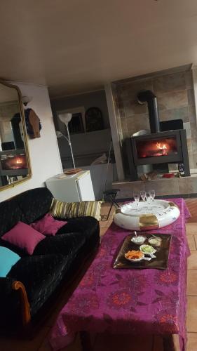 un salon avec un canapé et une cheminée dans l'établissement DOMAINE du VIEUX MOULIN, à Westhalten