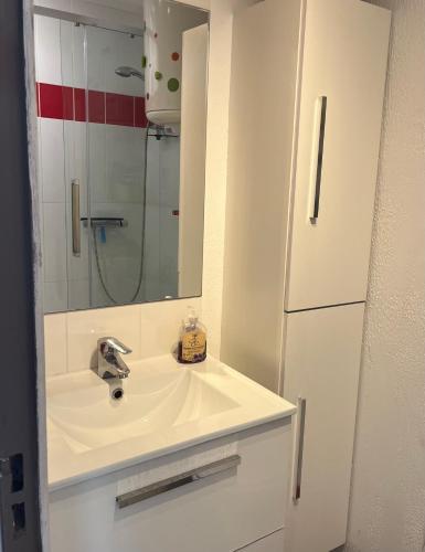 La salle de bains est pourvue d'un lavabo, d'un miroir et d'un réfrigérateur. dans l'établissement Calme et confort en rez-de-jardin, à La Londe-les-Maures