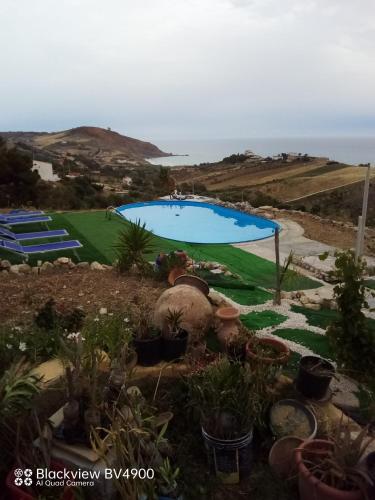 a swimming pool with plants in a yard at Villa incanto in Siculiana