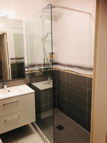 une salle de bain avec douche et lavabo dans l'établissement Gîte de standing climatisé, à Sainte-Cécile-les-Vignes