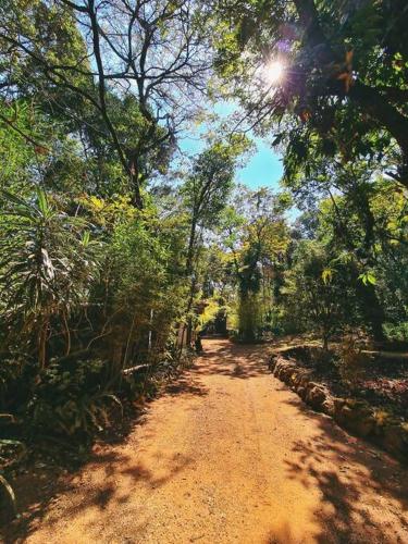 a dirt road in the middle of a forest at Casa Quereres - autenticidade e afeto in Brumadinho