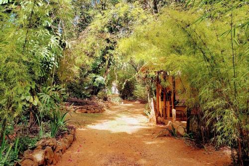 a dirt road in the middle of a forest at Casa Quereres - autenticidade e afeto in Brumadinho