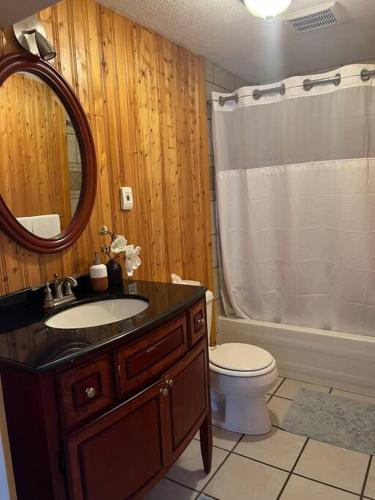 a bathroom with a sink and a toilet and a mirror at Michaud's Basement unit in Nakusp