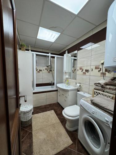 a bathroom with a washing machine and a toilet at Apartman Nina in Kotor