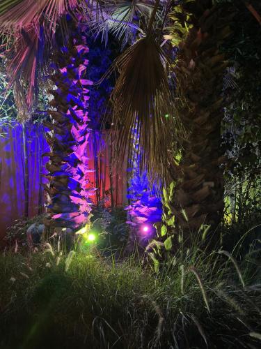 a garden with purple lights and a palm tree at Villa luxueuse Marrakech Ourika in Ourika