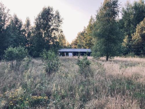 a building in the middle of a field with trees at Przystanek Naglady Warmia- całoroczny, duża leśna działka in Naglady