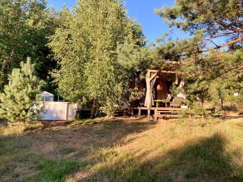 a cabin in the woods with trees and grass at Przystanek Naglady Warmia- całoroczny, duża leśna działka in Naglady