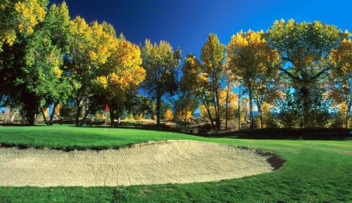 a view of a golf course with trees in the background at Carson Valley Inn in Minden