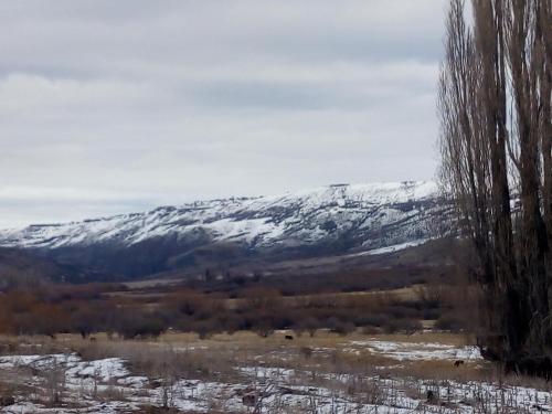 a snow covered mountain in the distance with trees at La señal in Puerta del Diablo
