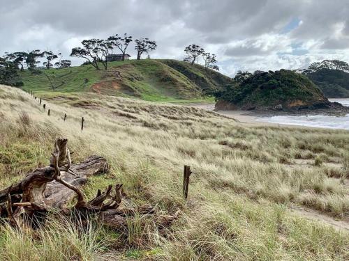a grassy hill with a fence and a beach at Elliot Bay - Hilltop Cottage in Rawhiti