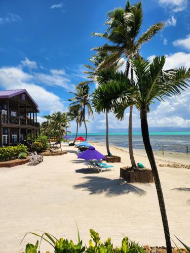 a beach with palm trees and a hotel and the ocean at X'tan Ha- The Waterfront in San Pedro