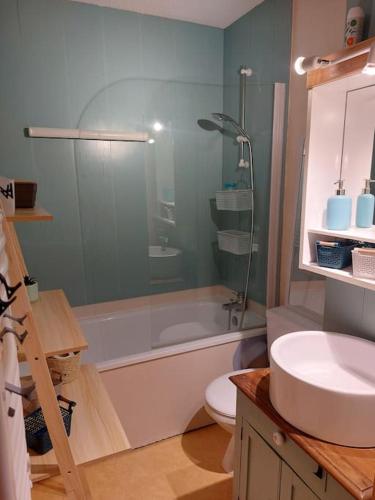 une salle de bain avec une douche, un lavabo et des toilettes dans l'établissement appartement aux coches 6 personnes 1 chambre 23m2 8 couchages, à Les Coches