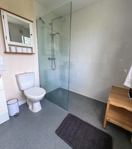 a bathroom with a toilet and a glass shower at Spacious home in Bath, nature and city! in Bath