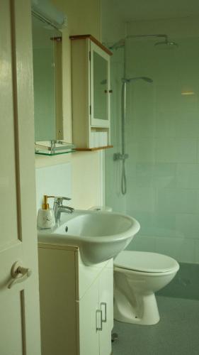 a bathroom with a sink and a toilet at Spacious home in Bath, nature and city! in Bath