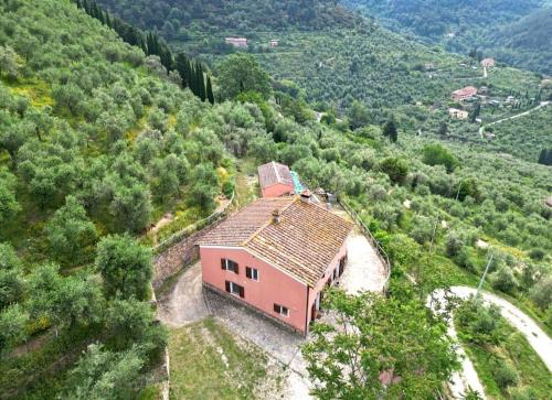 Afbeelding uit fotogalerij van Olive House Tuscany - Zona Pisa in Calci