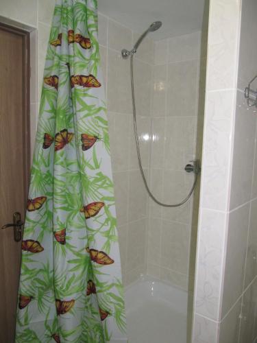 a shower curtain with butterflies on it in a bathroom at U Bogdana in Yaremche