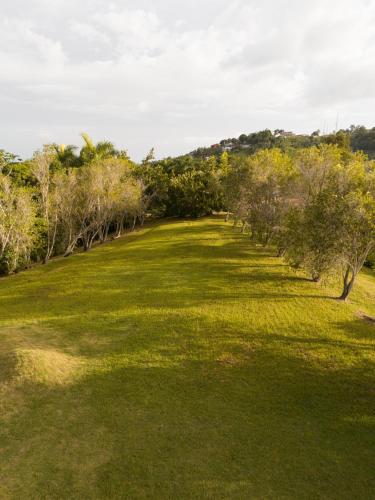 a field of grass with trees in the background at El Oasis Hotel in Aguada