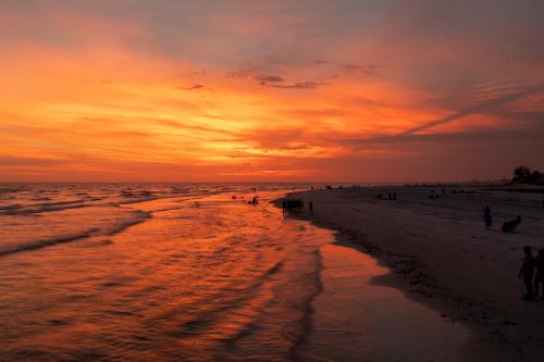 a group of people on the beach at sunset at Newly remodeled 8-steps to sand path of Beach! Unit D in Siesta Key