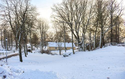 a snow covered yard with a house and trees at Amazing Home In Tomelilla With Wi-Fi in Tomelilla