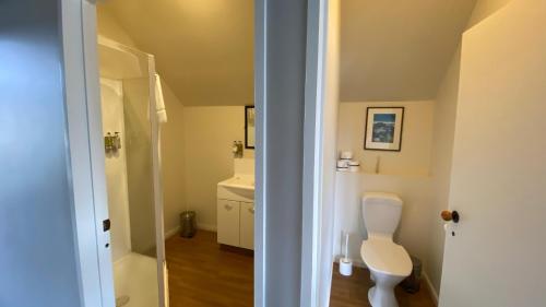 a bathroom with a toilet and a sink at Lake Tekapo Village Motel in Lake Tekapo