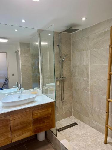 a bathroom with a sink and a glass shower at Appartement Sunrise in Cul de Sac