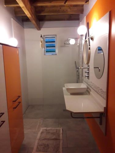 a bathroom with a sink and a mirror at L'Eden des Colibris in Vieux-Habitants